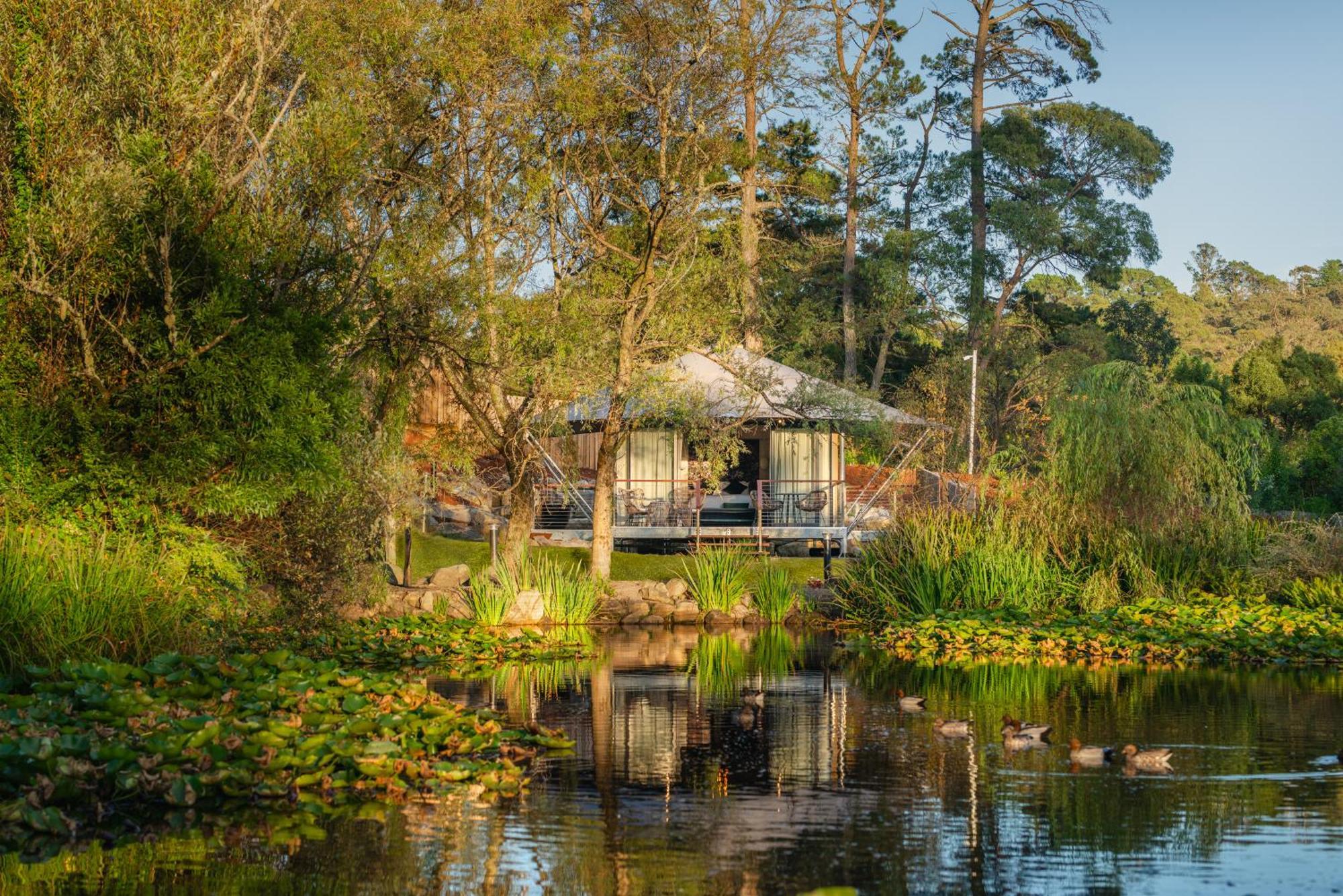 Parklands Country Gardens & Blue Mountains Blackheath